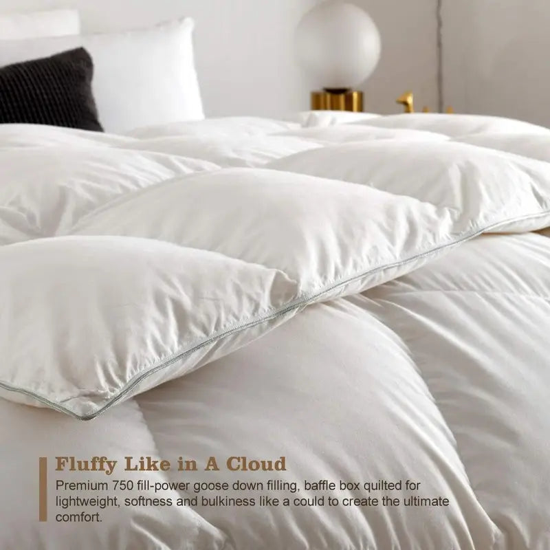 ACL Duvet All Season Comforter Corovin Cover